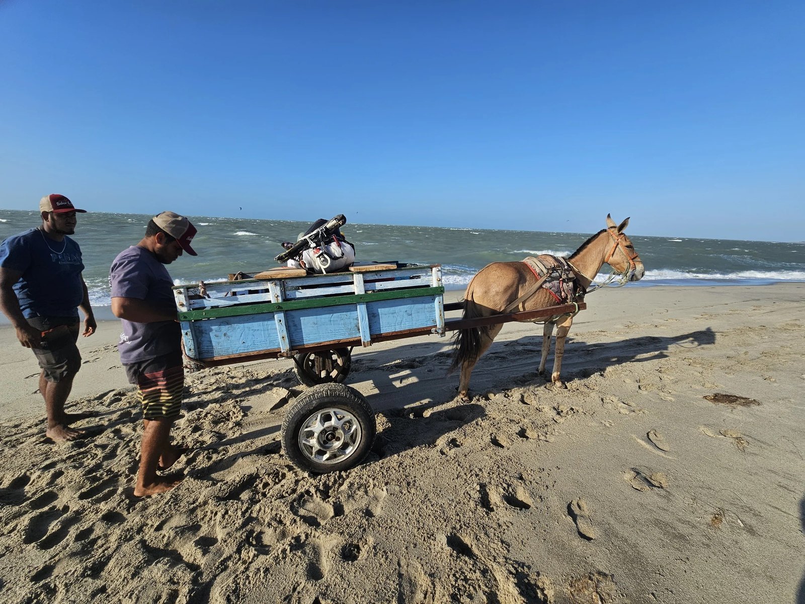 A coastal horse-cart adventure