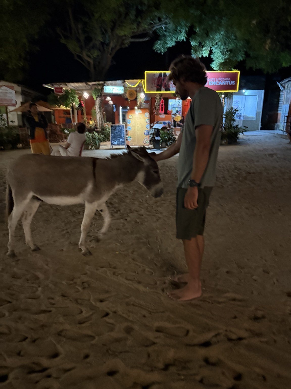 A curious visitor on the beach