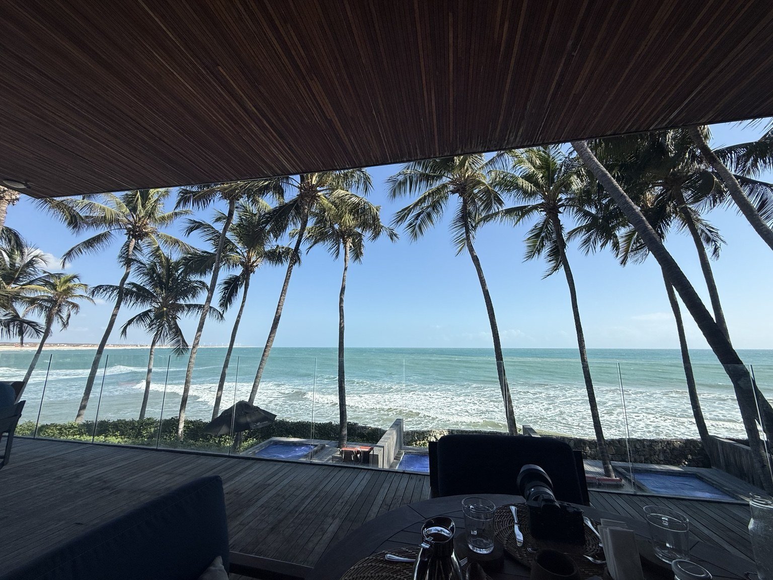 An ocean view through the palms