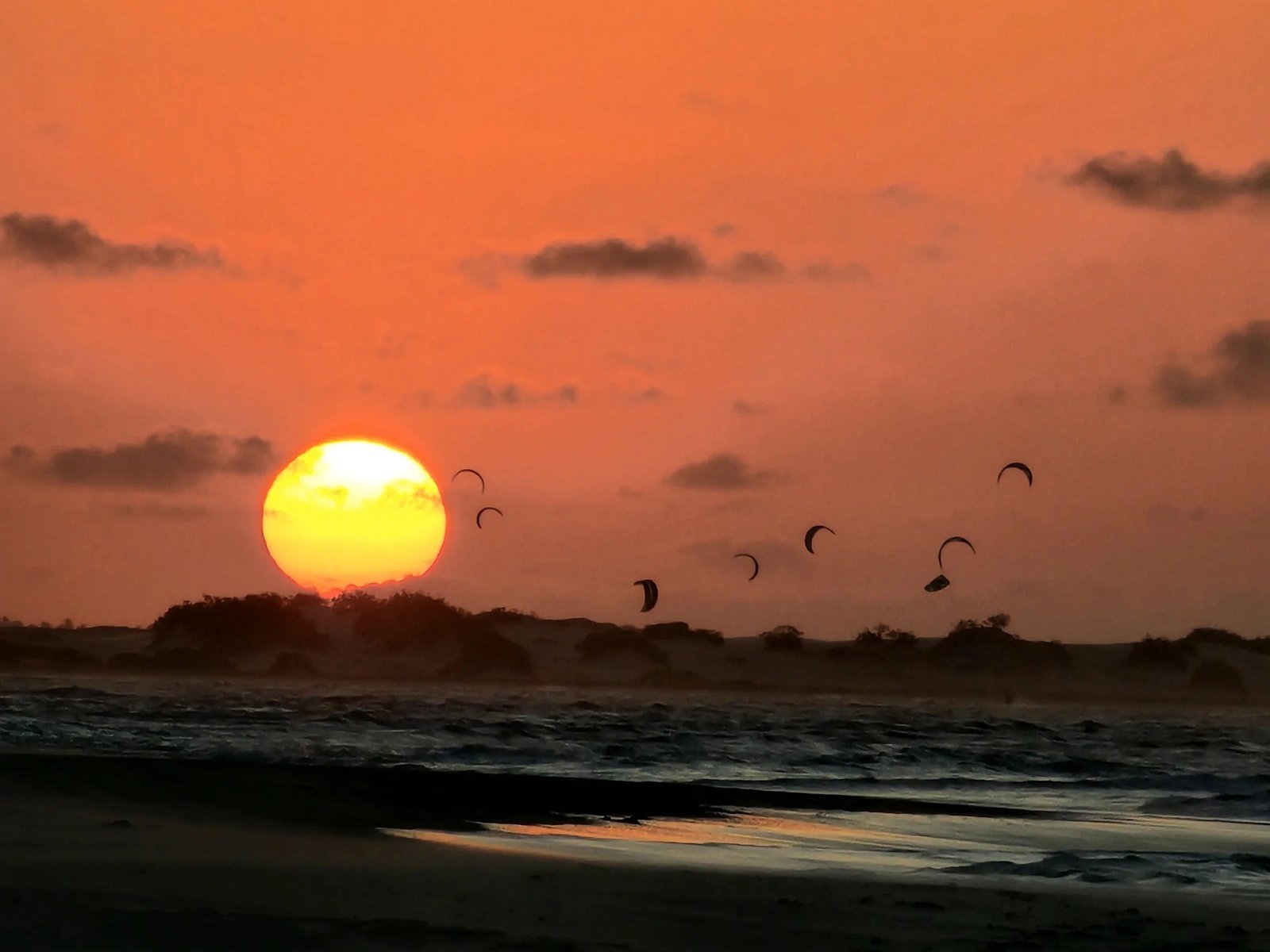 Kites in the sunset