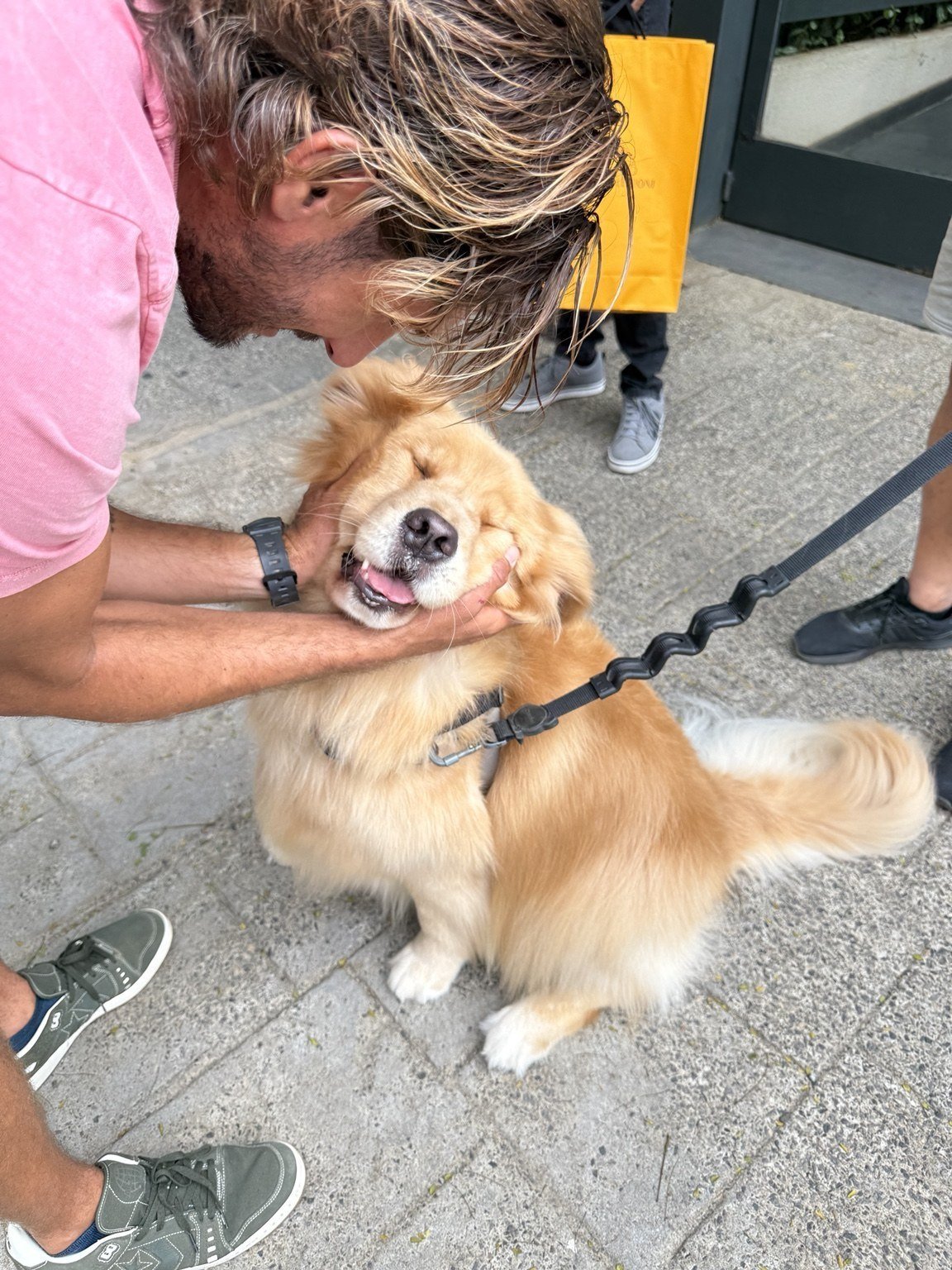 Making a four-legged friend