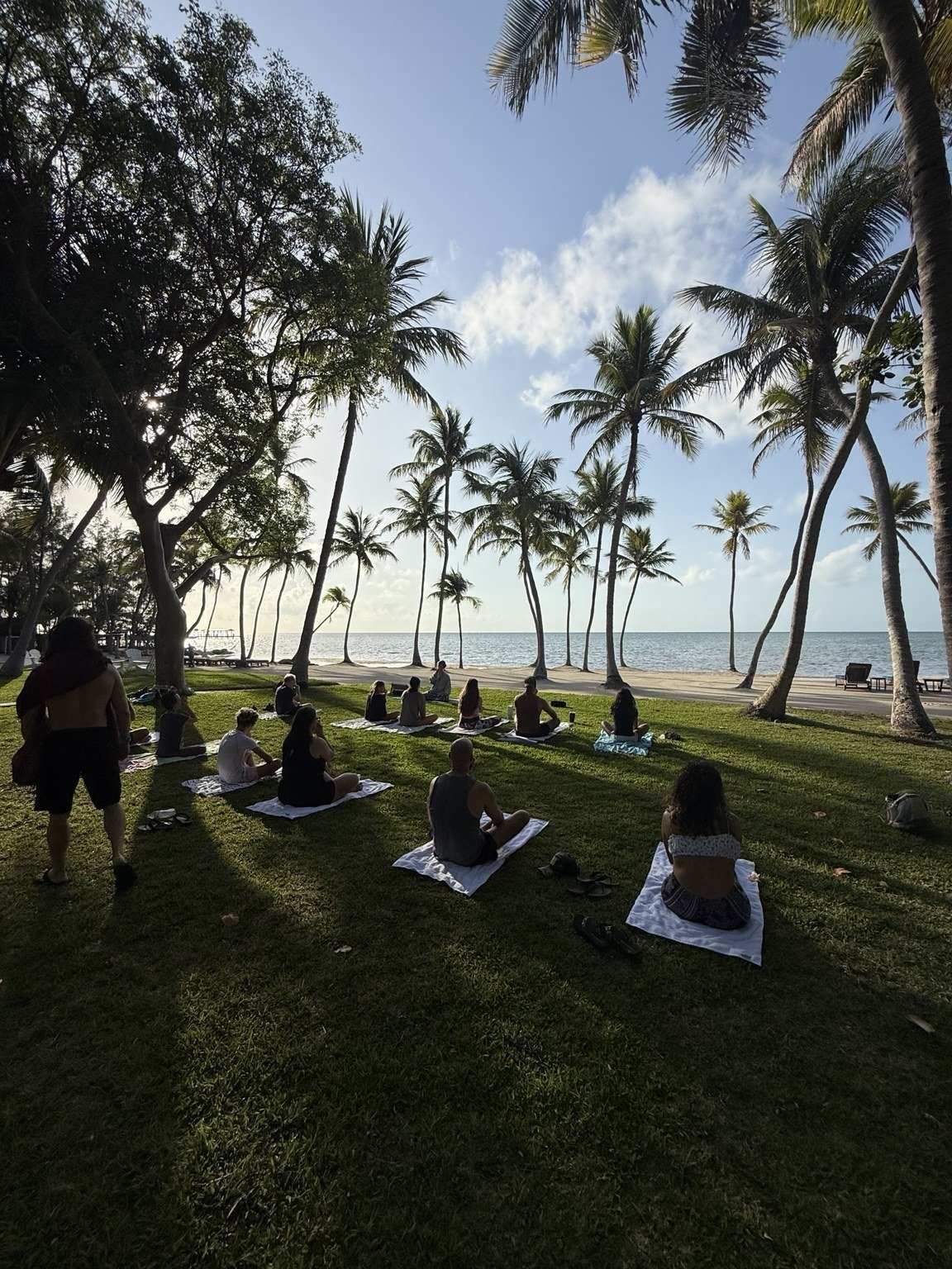Yoga beneath the coastal palms